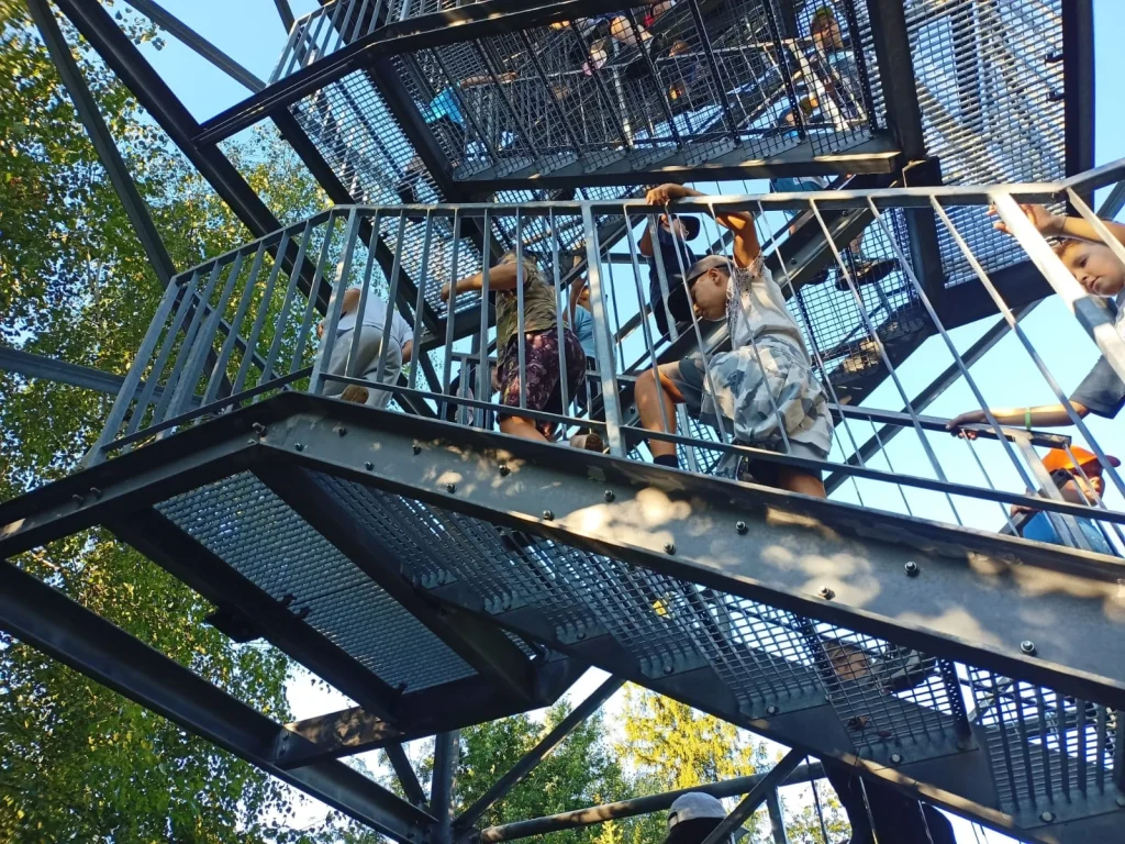 IMG-20250912-WA0013