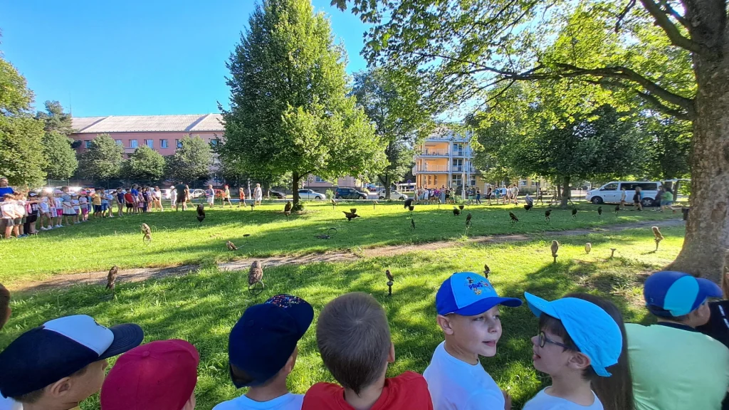 20260623_080417
