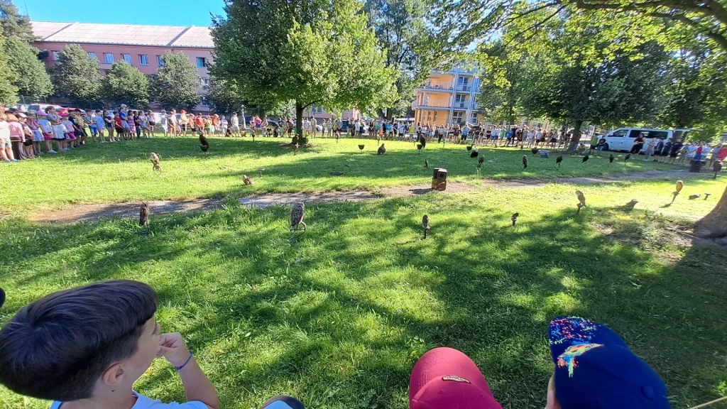 20260623_081317