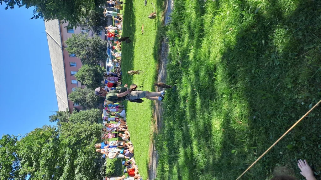 20260623_083757