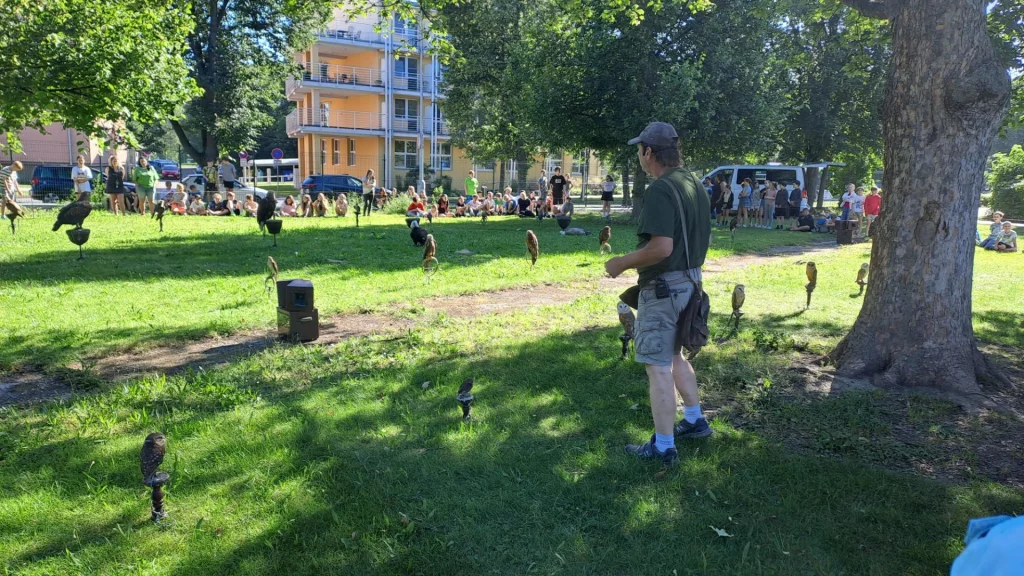 20260623_084032