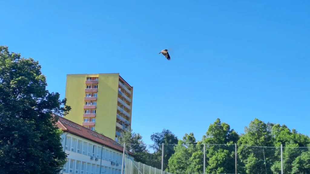 20260623_085704