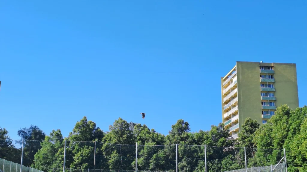 20260623_090153