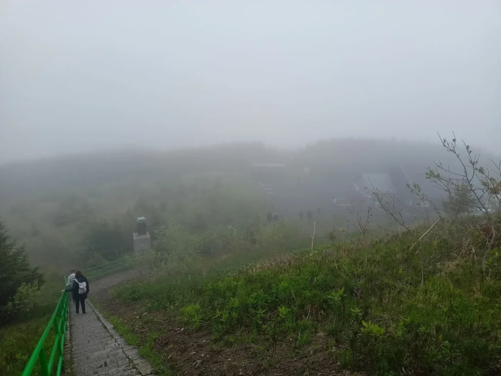 IMG20260603130130